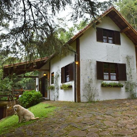 Chalet Da Hortensias Villa Кунха Екстериор снимка