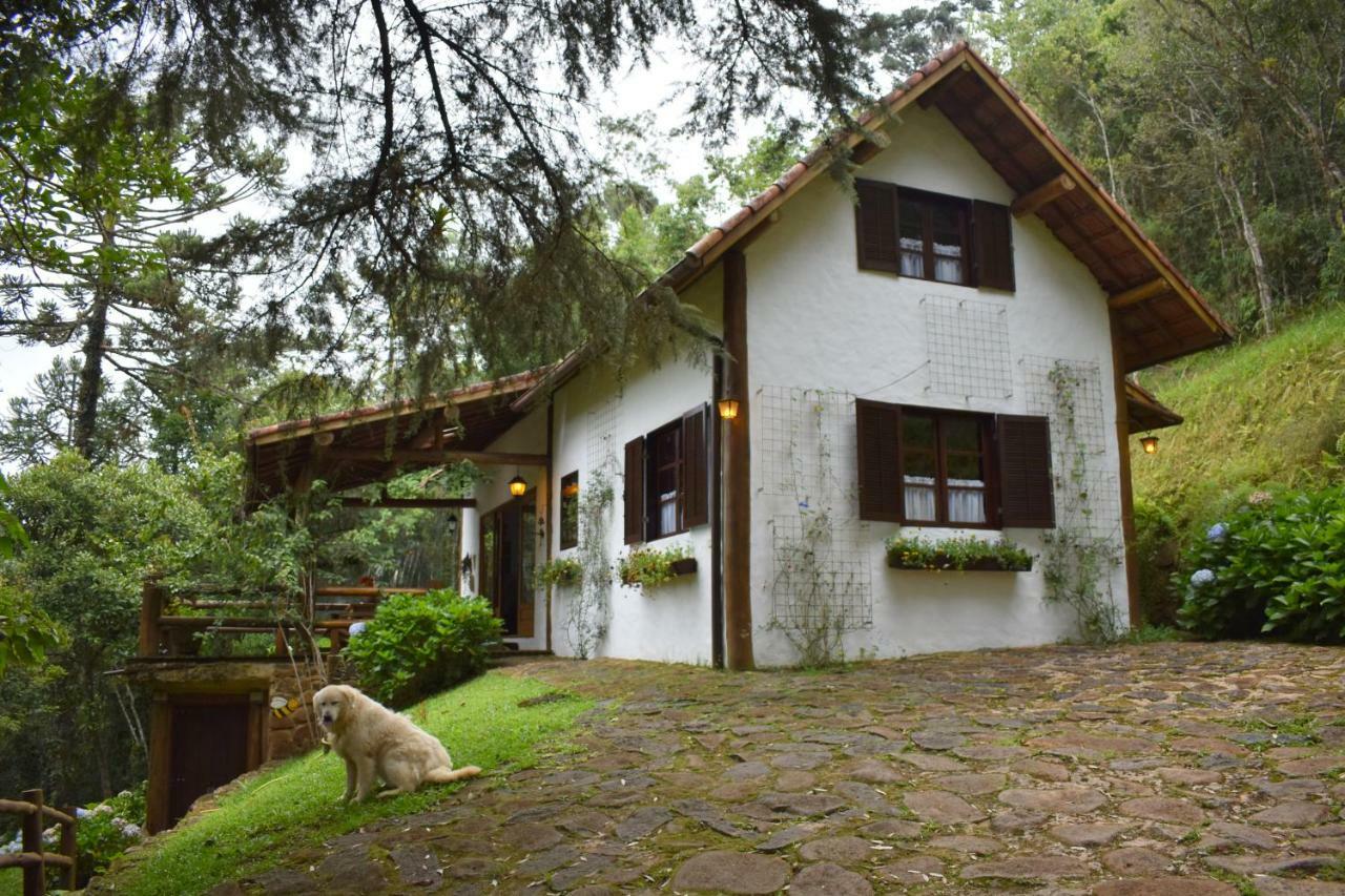 Chalet Da Hortensias Villa Кунха Екстериор снимка